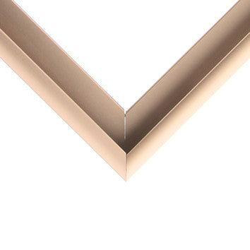 Nielsen Metal Moulding - FROSTED BRONZE